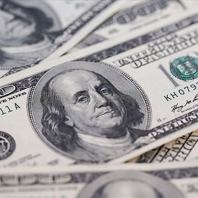 Goldman'dan güçlü dolar beklentisi