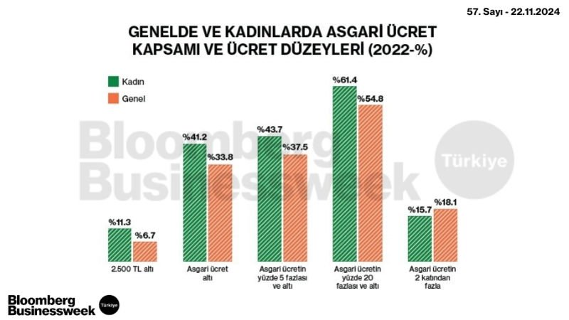 Genelde ve Kadınlarda Asgari Ücret Kapsamı ve Ücret Düzeyleri (2022-%)