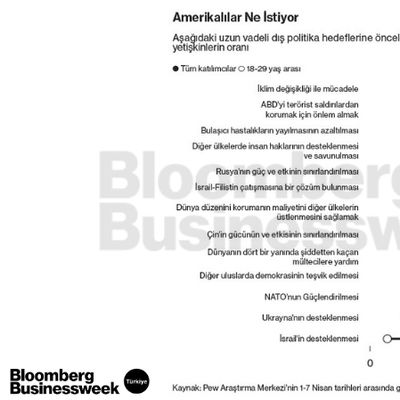 Amerikalılar Ne İstiyor?