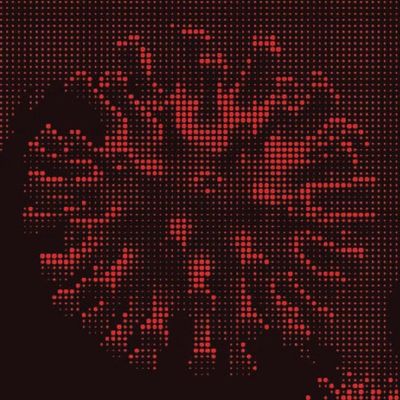 Bir Sonraki Pandeminin İpuçları Amazon Ormanlarından Çıkabilir