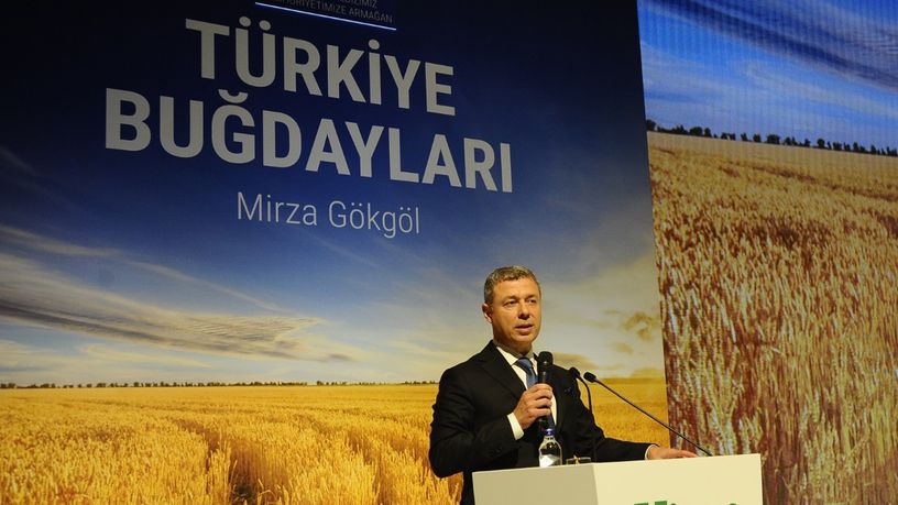 Anadolu'nun kadim buğdaylarını gün yüzüne çıkartacak proje