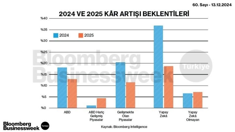 2024 ve 2025 Kâr Artışı Beklentileri