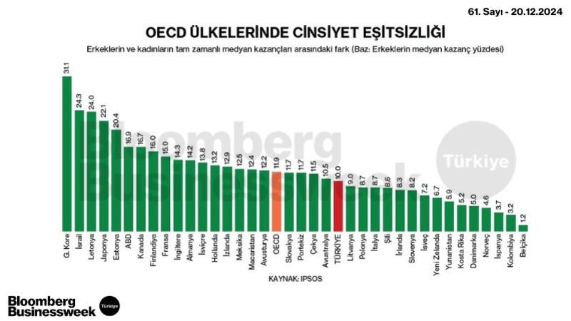 OECD Ülkelerinde Cinsiyet Eşitsizliği