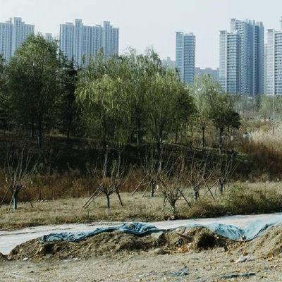 Çin’in Konut Sektörünü Kurtarma Çalışmaları Umut Vaat Etmiyor