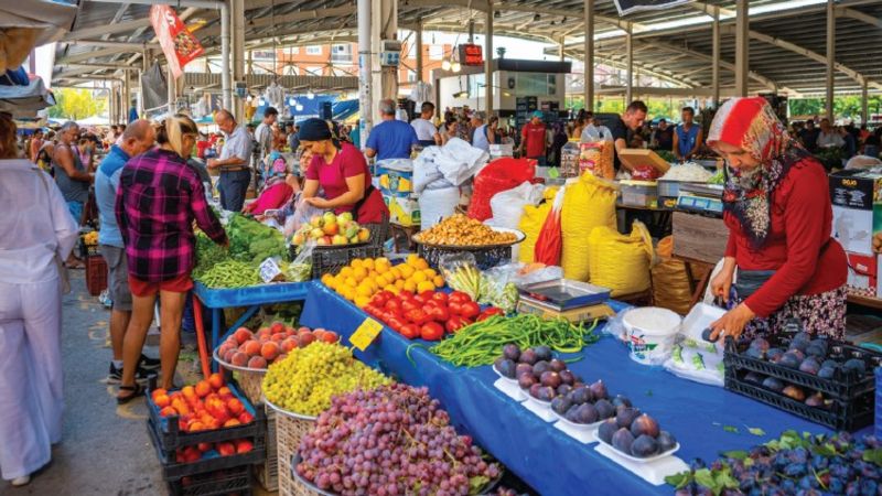 Kentsel Parıltı ve Kırsal Karanlık: Özel Ekonomik Bölgelerden Ne Beklemeli?