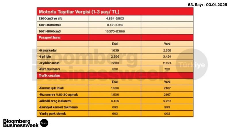 Motorlu Taşıtlar Vergisi, Pasaport Harcı, Trafik Cezaları