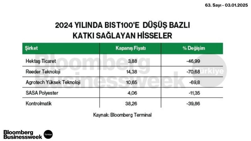 2024 Yılında BIST100'de Düşüş Bazlı Katkı Sağlayan Hisseler