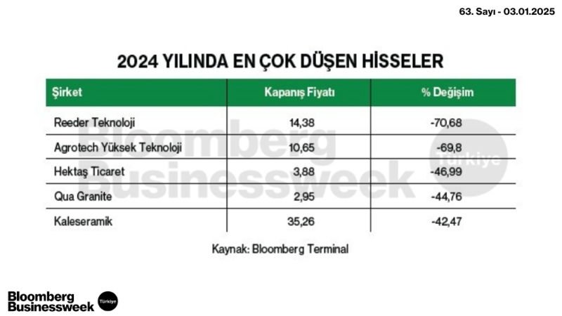 2024 Yılında En Çok Düşen Hisseler