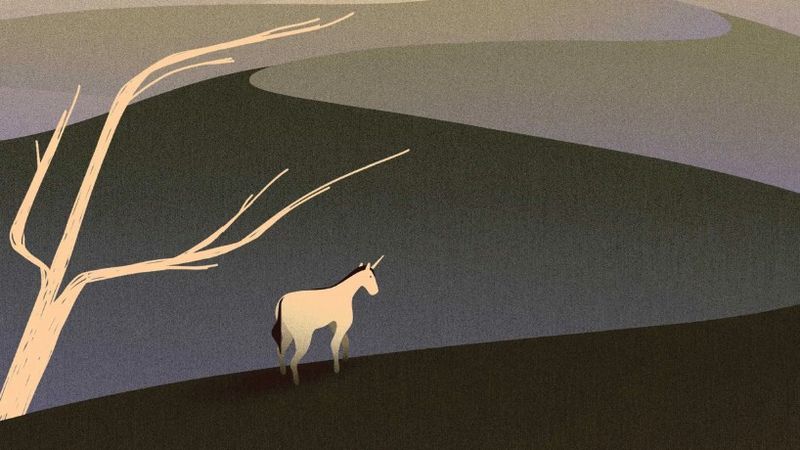 Unicorn Patlaması Bitti ve Startuplar Can Çekişiyor