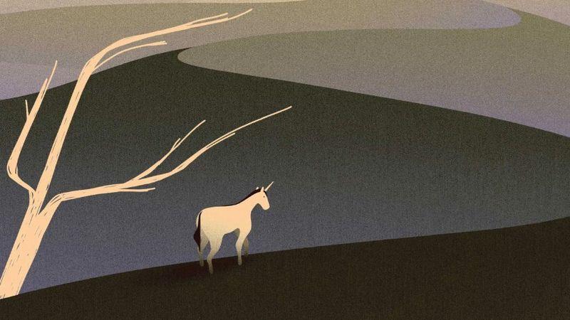 Unicorn Patlaması Bitti ve Startuplar Can Çekişiyor