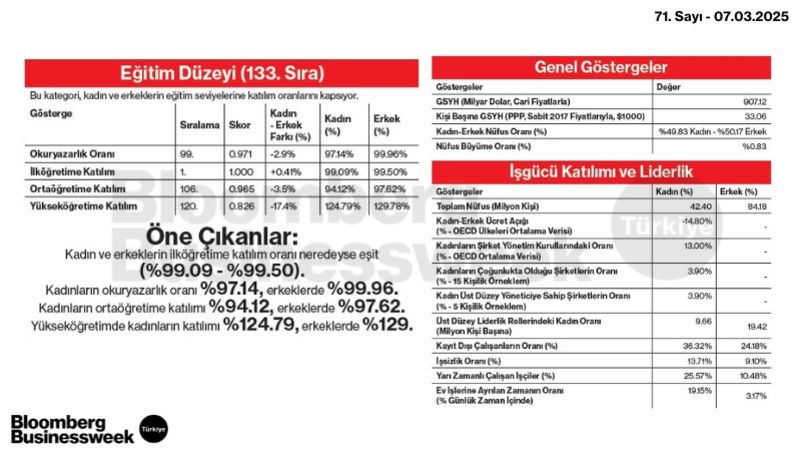 Cinsiyet Eşitliği Genel Bakış - 2 