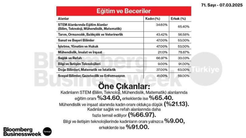 Cinsiyet Eşitliği Genel Bakış - 3 