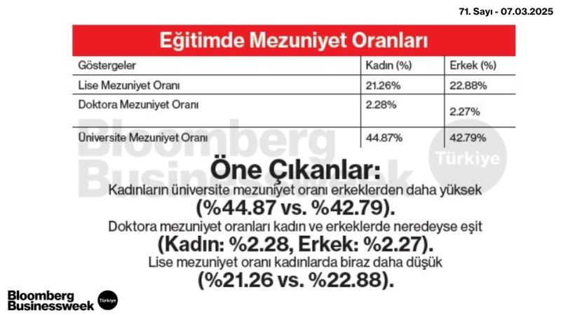 Cinsiyet Eşitliği Genel Bakış - 4