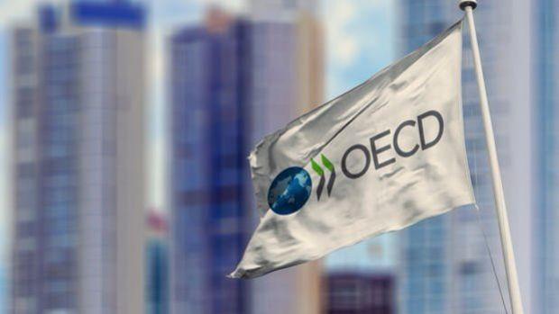 OECD'den Türkiye için büyüme ve enflasyon tahmini