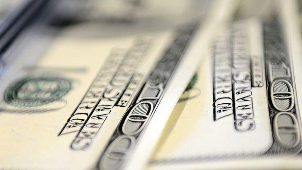 Döviz mevduatlarında 2,4 milyar dolarlık artış