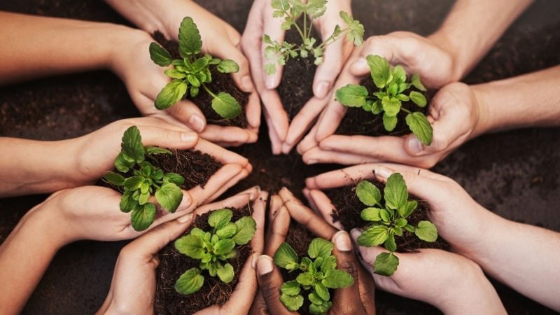 Yeni Jeopolitik Cephane: Nadir Toprak Elementleri