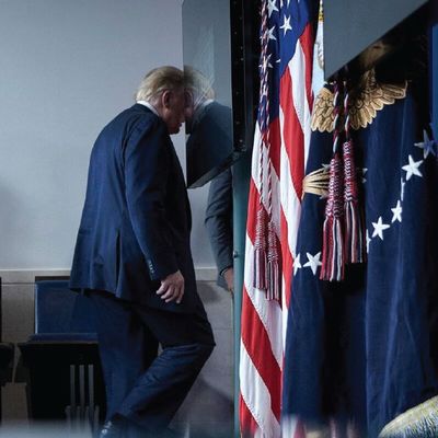 Trump’ın Başkanlık İmparatorluğunun Arkasındaki Akıl