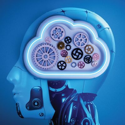 Paydos mu, Mola mı?