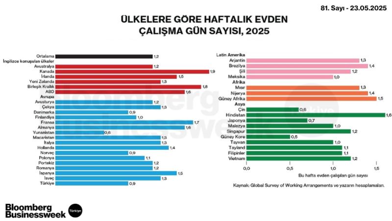 Ülkelere Göre Haftalık Evden Çalışma Sayısı
