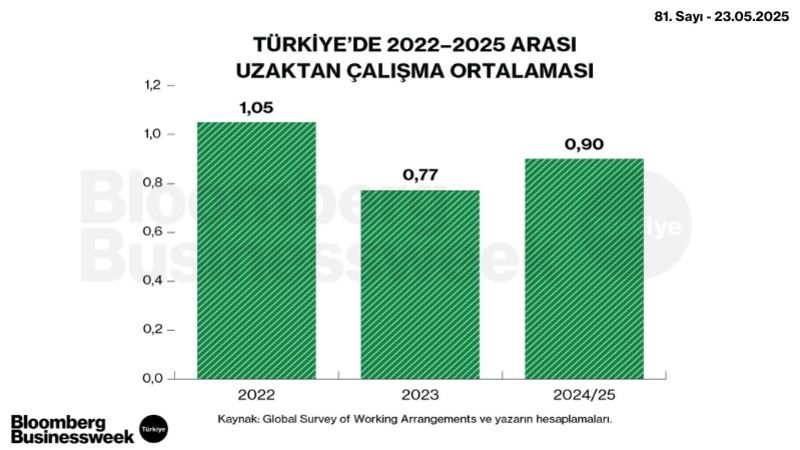 Türkiye'de 2022-2025 Arası Uzaktan Çalışma Ortalaması