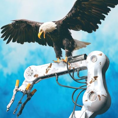 ABD Yeniden Sanayileşmek İçin Çin’i Dikkatle İncelemeli