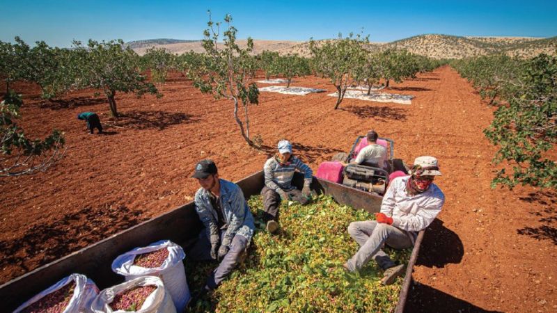 Tescilin Adı Var Tadı Yok