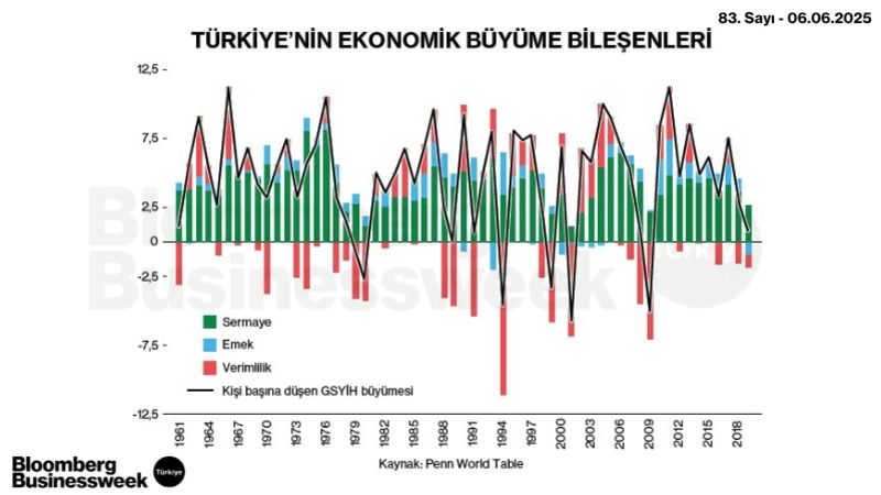 Türkiye'nin Ekonomik Büyüme Bileşenleri