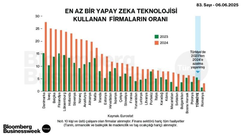 En Az Bir Yapay Zeka Teknolojisi Kullanan Firmaların Oranları