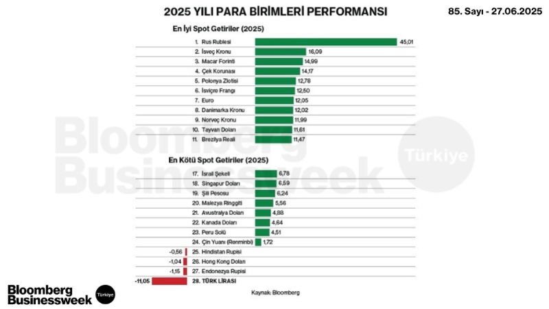 2025 Yılı Para Birimleri Performansı