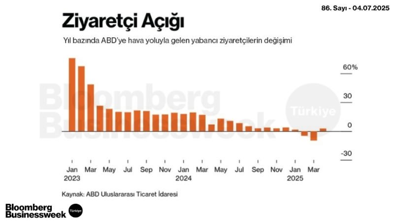 Ziyaretçi Açığı