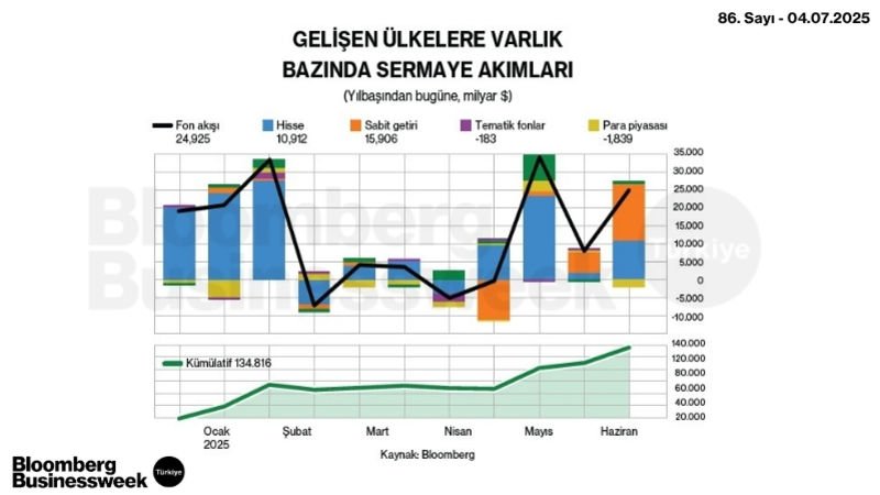 Gelişen Ülkelere Varlık Bazında Sermaye Akımları