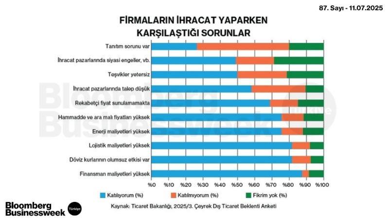 Firmaların İhracat Yaparken Karşılaştığı Sorunlar