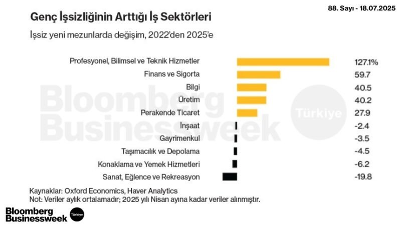 Genç İşsizliğinin Arttığı İş Sektörleri