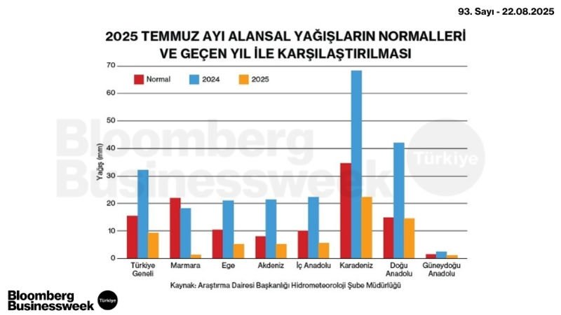 2025 Temmuz Ayı Alansal Yağışların Normalleri ve Geçen Yıl ile Karşılaştırılması