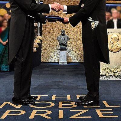 Bhagwati, Nobel ve Simpsonlar