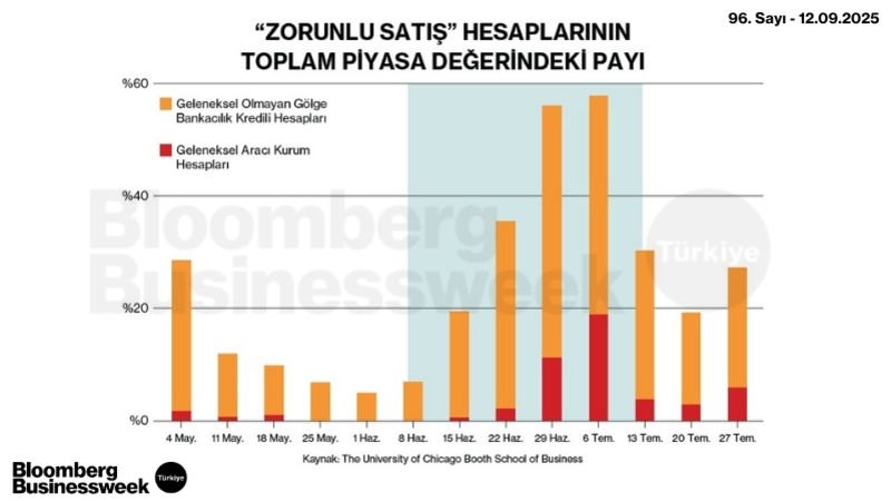 "Zorunlu Satış" Hesaplarının Toplam Piyasa Değerindeki Payı