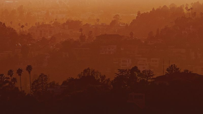 Silikon Vadisi’nde Göç Krizi