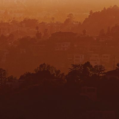 Silikon Vadisi’nde Göç Krizi