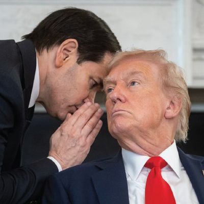 Tocqueville’in Kâbusu ve Sert Devletin Gölgesinde Amerikan Çözülmesi