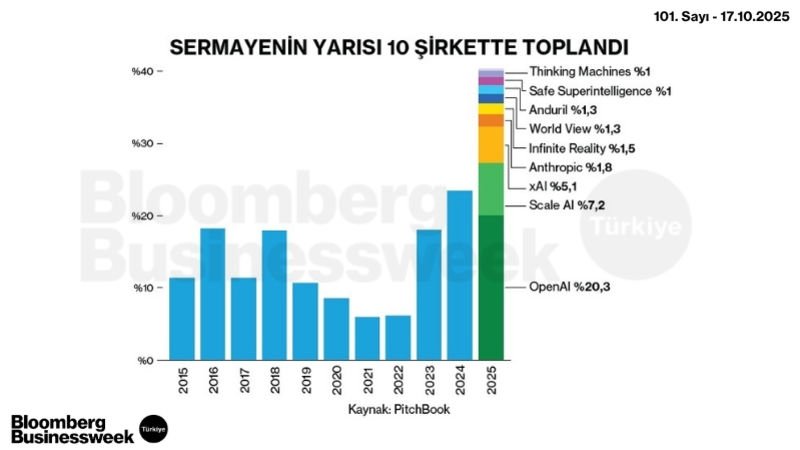 Sermayenin Yarısı 10 Şirkette Toplandı