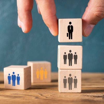 Üreten İnsan, Öğrenen Organizasyon