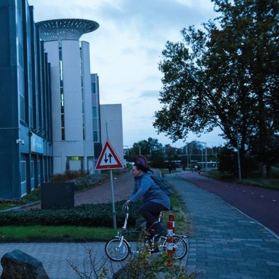 Otomotiv Sektöründe Dönüşüm ve Yarı İletkenler