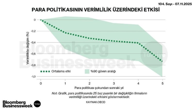 Para Politikasının Verimlilik Üzerindeki Etkisi
