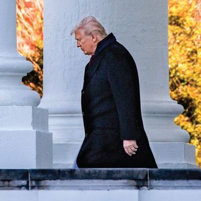 Ralli ile Risk Arasında: Trump 2.0’ın İlk Yılı