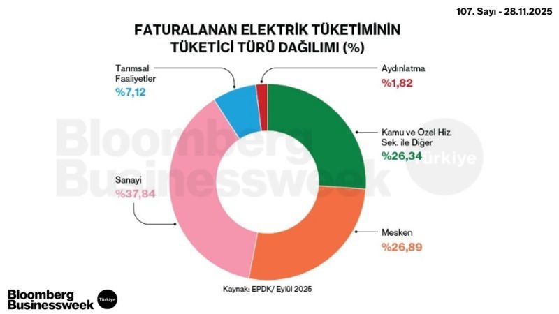 Faturalanan Elektrik Tüketiminin Tüketici Türü Dağılımı (%)