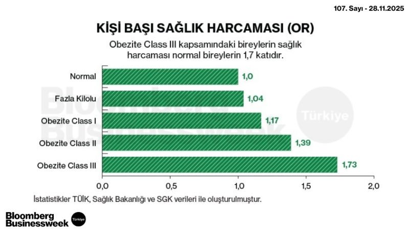 Kişi Başı Sağlık Harcaması (OR)