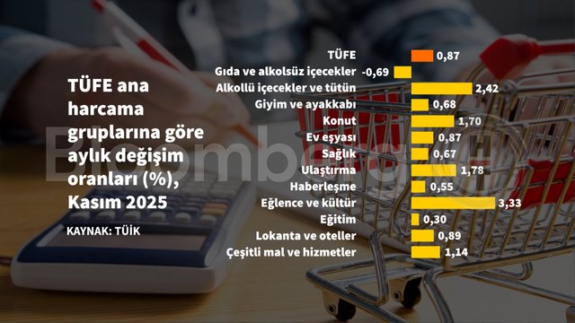 Grafiklerle Kasım enflasyonu