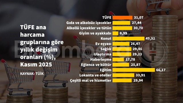 Grafiklerle Kasım enflasyonu