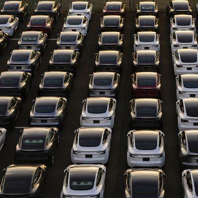 Tesla Avrupa’da Serbest Düşüşte
