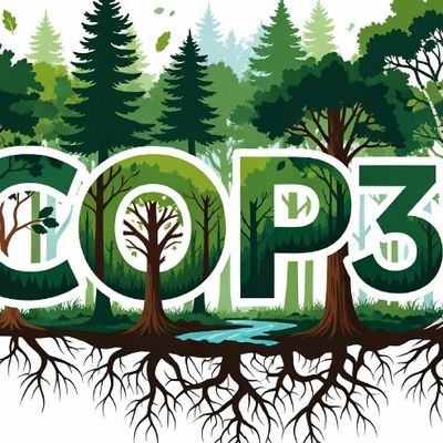 COP31 Türkiye İçin Benzersiz Bir Fırsat!